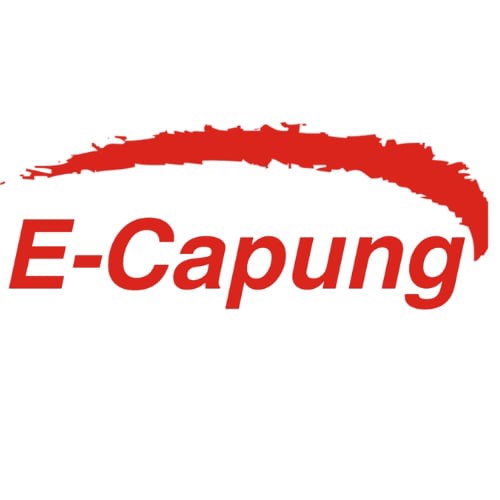 Drużyna esportowa E-Capung - Gampre.pl